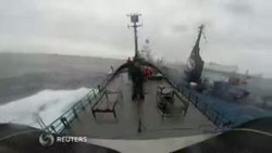 Video Kapal Sea Shepherd Diserempet Kapal Pemburu Paus