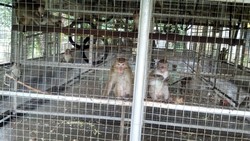 Balai Kesehatan: Sarimin Dirawat Tanpa Anggaran Pemprov DKI