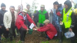 Jokowi dan Bupati Bogor Tanam Pohon Kayu Putih di Bantaran Hulu Ciliwung