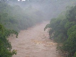 Misteri Buaya Buntung di Kali Ciliwung