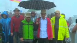 Jokowi Tanam Pohon di Puncak, Atasi Banjir Jangka Panjang?