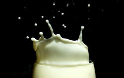 Minum Susu Memicu Terjadinya Alergi dan Osteoporosis