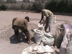 Warga Jual Abu Vulkanik Sinabung Rp 5.000 per Karung