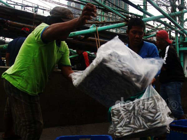 Cuaca Buruk, Tangkapan Nelayan Menurun