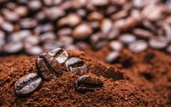 Sedang Diteliti Pengolahan Ampas Kopi Jadi Bahan Bakar Diesel
