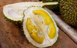 Musang King, Durian Malaysia Beraroma Paling Kuat Kini Dijual di Inggris
