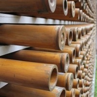 Uniknya Dinding Bolong-bolong Dari Bambu di Rumah Pasangan Seniman Muda