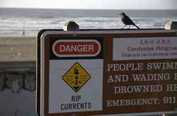 5 Hal Bahaya yang Bisa Ditemui di Pantai