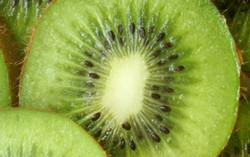 Kiwi dan Pepaya Kaya Vitamin C, Ampuh Atasi Pilek dan Langsingkan Badan (1)