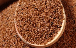 Teff, Superfood Asal Ethiopia yang Digemari Gwyneth Paltrow dan Victoria Beckham