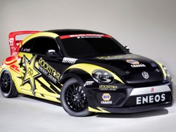 Kodok Berkekuatan 560 Tenaga Kuda