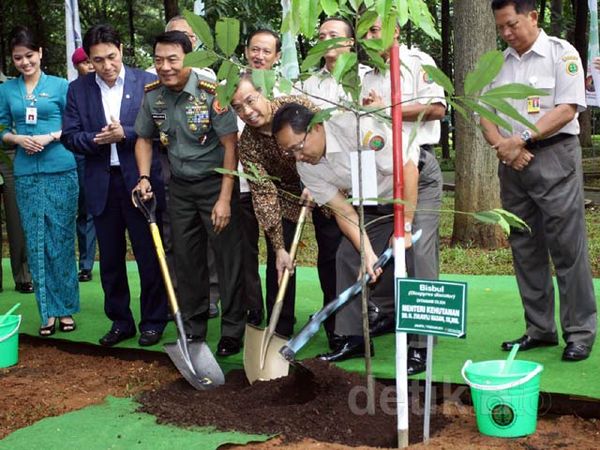 Lestarikan Hutan Bersama Demi Ketahanan Nasional Lestarikan Hutan Bersama Demi Ketahanan Nasional