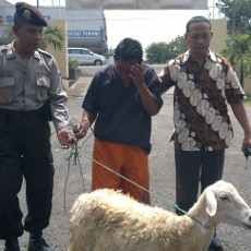 Pencuri Kambing Malah Kehilangan Sepeda Motor