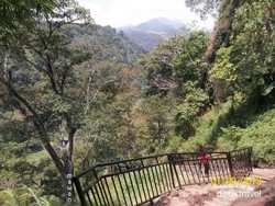 Agrowisata Pangklungan, Saatnya Kembali ke Alam