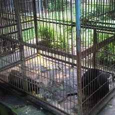 Inilah Penampakan Ruang Klinik dan Karantina Satwa KBS