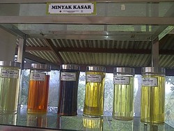 Indonesia Negeri Kaya Sumber Bahan Bakar Hijau