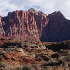 Baru Menikah, Wanita AS Tewas Saat Lompat Parasut dengan Suaminya