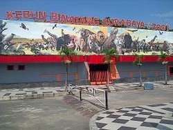 Besok Risma Temui Lagi Presiden SBY Terkait Izin Pengelolaan KBS