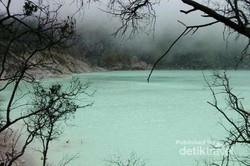 Kawah Putih, Seputih Cintamu