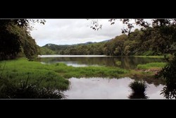 Misteri Ikan Lele Keramat di Telaga Ranjeng