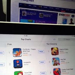 Tiruan Flappy Bird Dapat Durian Runtuh