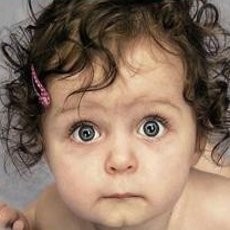 Tragis! Bayi 11 Bulan di Inggris Tewas Diserang Anjing Pitbull