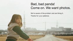 Kisah di Balik Foto Flickr Bad, bad Panda