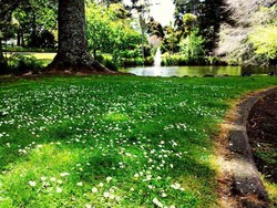 Pergi ke Auckland Berdua Saat Valentine, Romantis!