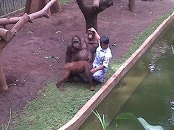 Begini Kondisi Si Atim Usai Video Penyiksaannya Beredar Luas