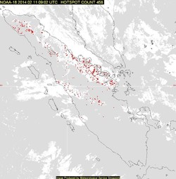 Pakar BPPT: Titik Api di Sumatera akan Berkurang pada 15 Februari
