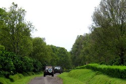 Utamakan Produksi Lokal, Larang Buah Impor di Acara Pemerintahan