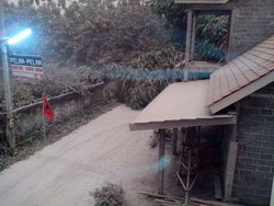 Keberatan Abu Kelud, Sejumlah Pohon di Yogya Tumbang