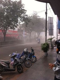 Abu Vulkanik Gunung Kelud Tumbangkan Pohon-pohon di Solo