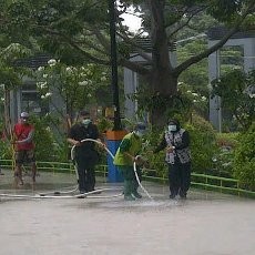 Walikota Risma Bersihkan Taman Surabaya Dari Abu Kelud