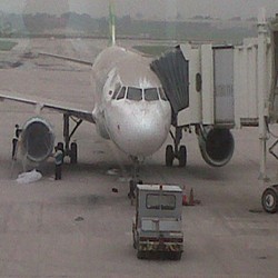 Curhat Maskapai Yang Rugi Karena Meletusnya Gunung Kelud
