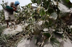 Aktivitas Terus Menurun, Siang Ini Gunung Kelud Tertutup Awan