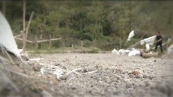 Menyusuri Area Terlarang di Gunung Kelud