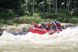 Arung Jeram Penuh Tantangan di Sungai Serayu