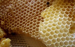 Europol Temukan 1000 Ton Produk Makanan Palsu di Eropa