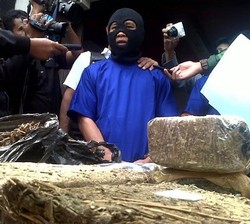 Digerebek BNNP Jabar, Pemilik Ganja 10 Kg Ini Naik Atap Rumah