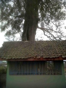 Kisah Makam Babat Alas Pandansari yang Lolos dari Amukan Abu Kelud