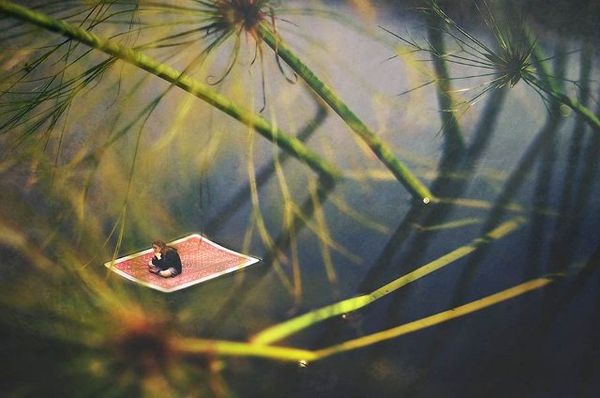 Deretan Karya Mengagumkan Fotografer  14 Tahun