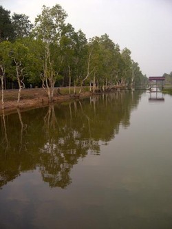 Beginilah Penampakan Indonesia di Ujung Timur
