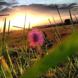 Sunrise dari Purwokerto, Cantik Sekali!