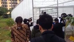 Jokowi Tengok Proyek Cabe-cabean di Rusun Marunda