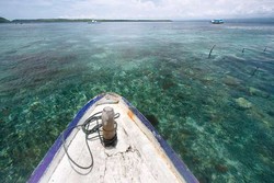 Kisah Dramatis Penyelamatan 5 Diver di Bali