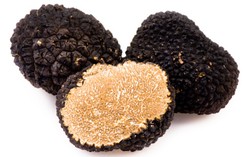 Jamur Truffle Hitam Besar Ditemukan di Prancis