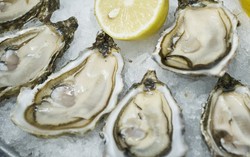 Wah, Makanan Afrodisiak Ini Justru Bikin Malas Bercinta! (1)