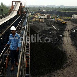 Tarif Royalti Batu Bara di RI Paling Tinggi se-Dunia