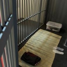 Dibui karena Perkosa dan Bunuh Remaja Irak, Eks Tentara AS Bunuh Diri